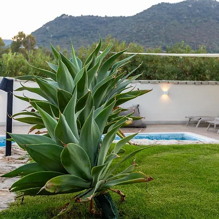 Vila Domus Lory Cala Sinzias With Swimming Pool Castiadas